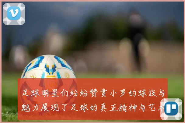 足球明星们纷纷赞赏小罗的球技与魅力展现了足球的真正精神与艺术之美