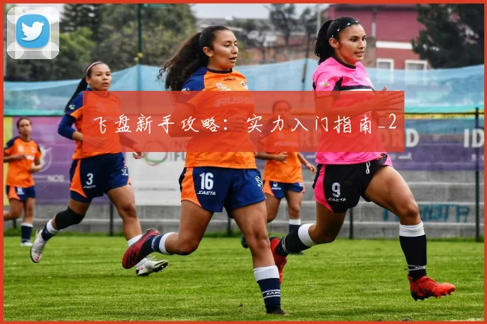 飞盘新手攻略：实力入门指南_2