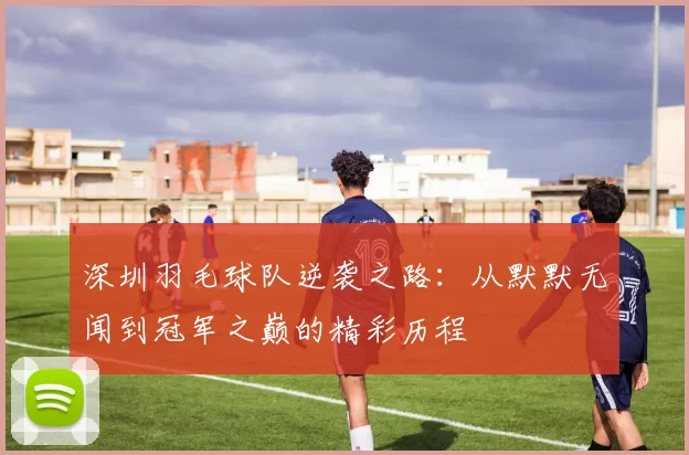 深圳羽毛球队逆袭之路：从默默无闻到冠军之巅的精彩历程