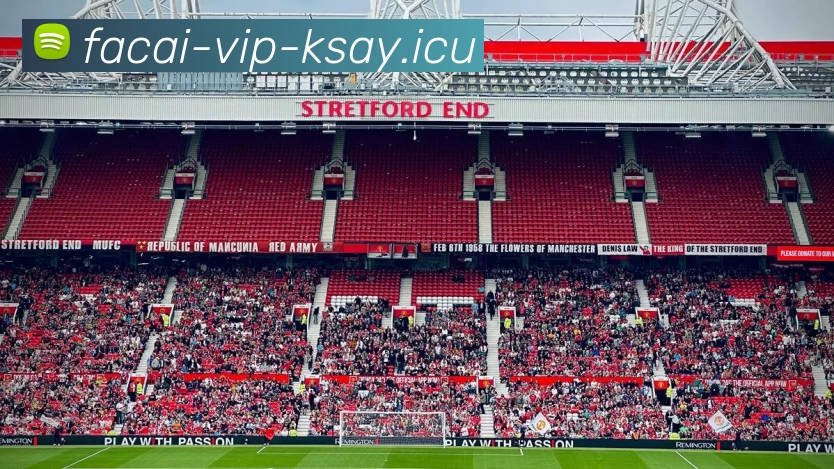 九游体育品牌故事